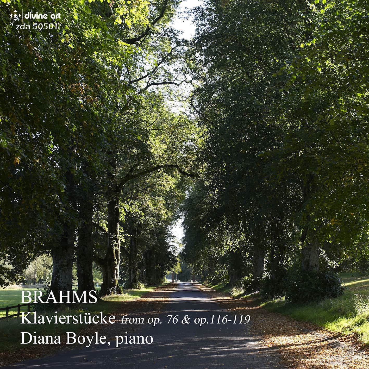 Diana Boyle – Brahms Piano Works